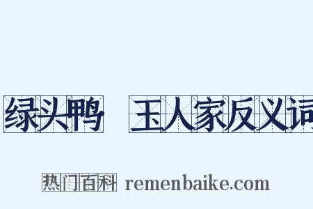 绿头鸭·玉人家反义词是什么意思的图片
